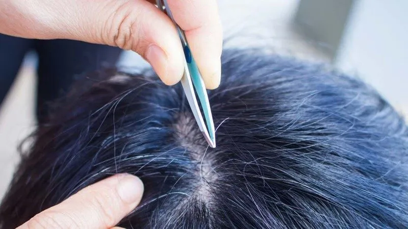 Mơ thấy mình đang nhổ tóc bạc