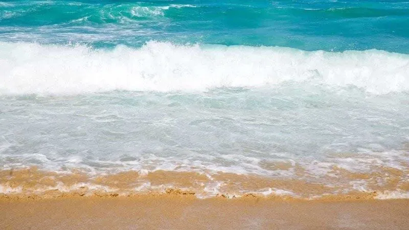 Nằm mơ thấy nước biển đánh số gì để làm giàu